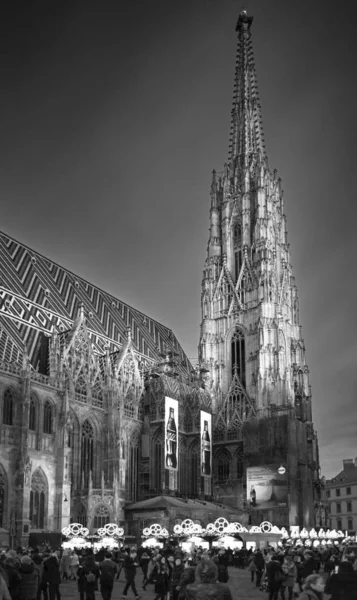 Vienna St. Stephen's Cathedral - Stephandom — стокове фото