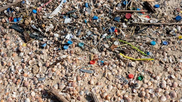 Strand unter Sonnenlicht mit Schneckenhäusern und Plastikmüll bedeckt — Stockfoto