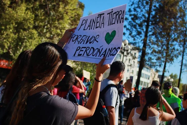 Santiago Chile 2019 Santiagu Chile Globální Stávka Pro Planetu Studenti — Stock fotografie