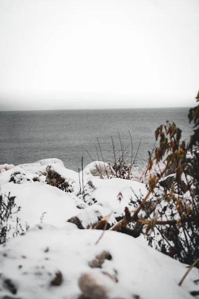 Fechar as pedras cobertas de grama e neve com o mar no fundo embaçado — Fotografia de Stock