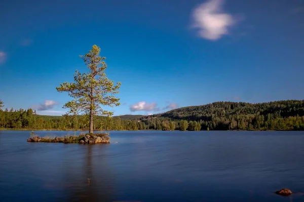 美しい緑の森に囲まれた澄んだ湖の魅惑的な風景 — ストック写真