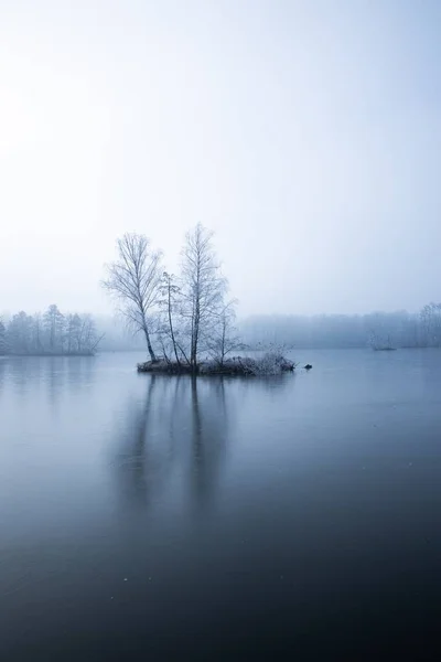 Suyun içinde birkaç ağacın büyüdüğü yoğun sis ile kaplı bir gölün dikey görüntüsü. — Stok fotoğraf