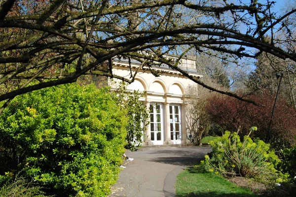 Ogrody botaniczne, Royal Victoria Park, Bath, Anglia. 25 marca 2019. — Zdjęcie stockowe