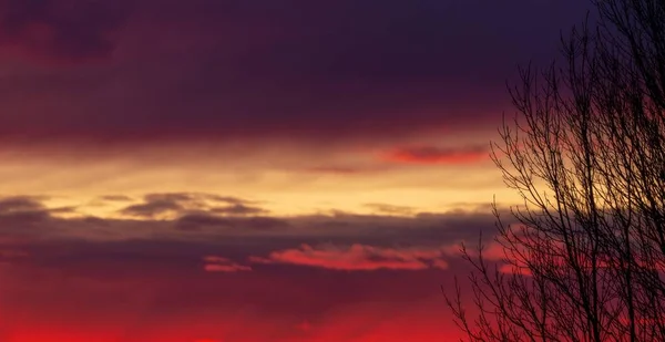 Sílhueta de árvore abaixo de um céu nublado durante um pôr-do-sol vermelho de tarde — Fotografia de Stock
