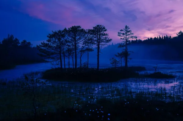 밤에는 습지 섬 — 스톡 사진