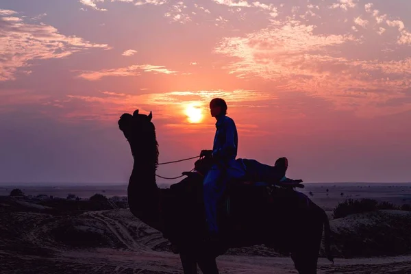 Άποψη ενός τοπικού ατόμου σε μια σιλουέτα καμήλα κατά τη διάρκεια ενός ροζ ηλιοβασιλέματος — Φωτογραφία Αρχείου