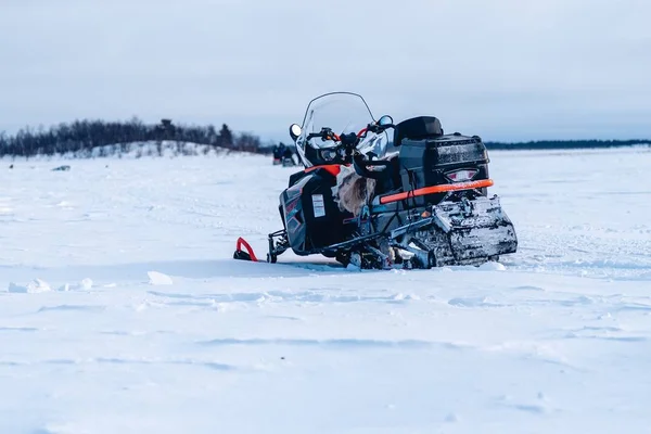 Selective focus shot of a snowmobile in the north of Sweden — ストック写真