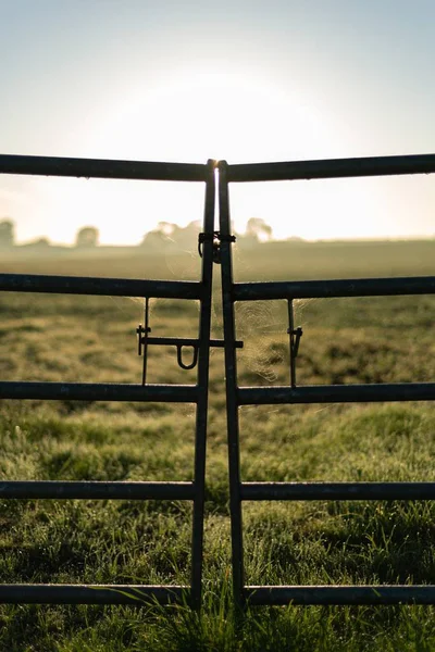 Disparo Vertical Una Valla Metal Frente Campo Campo —  Fotos de Stock