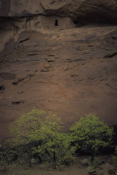 Краєвид Різних Видів Рослин Ростуть Посеред Пагорбів Каньйону — стокове фото