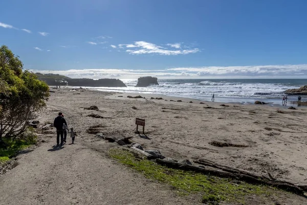 Paysage des habitants de la plage d'État Santa Cruz Natural Bridges — Photo