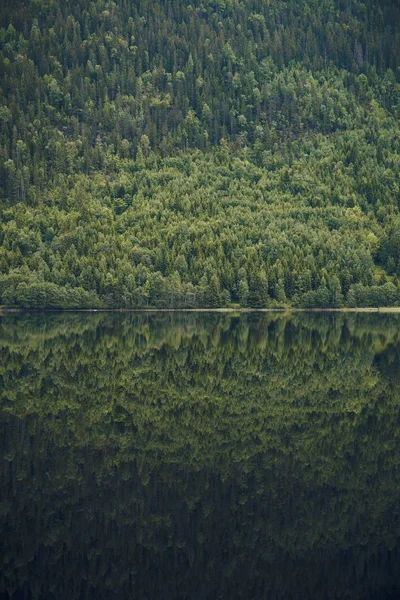 Вертикальный Снимок Отражения Прекрасной Горы Покрытой Деревьями Спокойном Озере Норвегии — стоковое фото