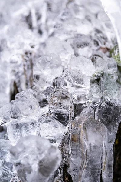 Tiro de close-up vertical de belos icicles em uma árvore — Fotografia de Stock