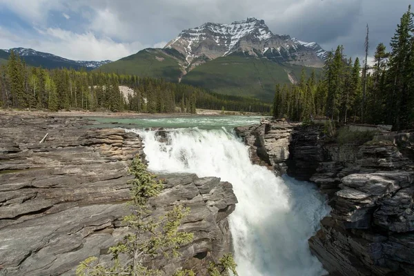 Beautiful shot of the Athabasca Falls surrounded by green trees in Alberta Canada — 스톡 사진