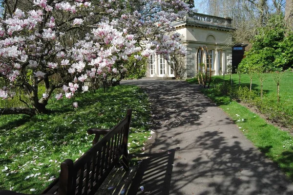 The Botanical Gardens, Royal Victoria Park, Bath, Inglaterra. Março 25 2019 . — Fotografia de Stock