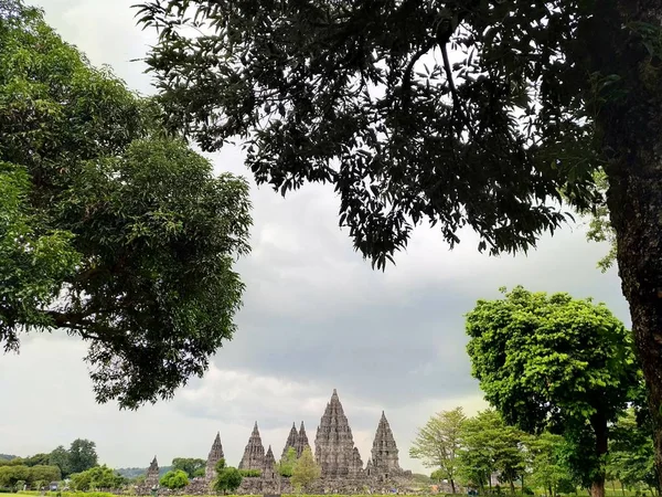 Slavný Chrám Borobudur Stromy Yogyakarta Indonésie — Stock fotografie