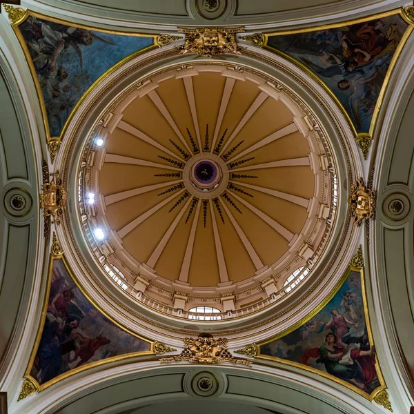 哥伦比亚波哥大第一主教座堂漂亮天花板的低角度镜头 — 图库照片