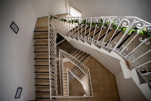 Hochwinkelblick auf eine weiße Treppe mit Fenstern unter Sonnenlicht, die von viel Grün dekoriert sind — Stockfoto