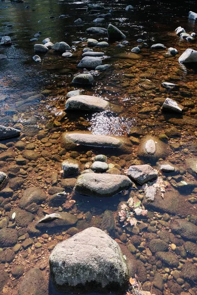 Tiro vertical da pedra no meio de uma corrente de água — Fotografia de Stock