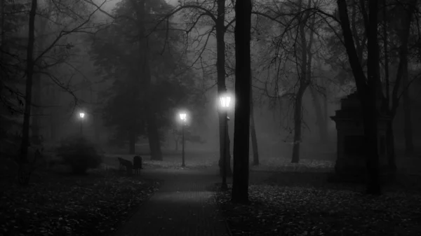 Mlhavá Ulička Městě — Stock fotografie