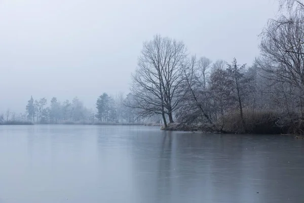 Lago coberto com o denso nevoeiro perto da floresta com árvores nuas — Fotografia de Stock