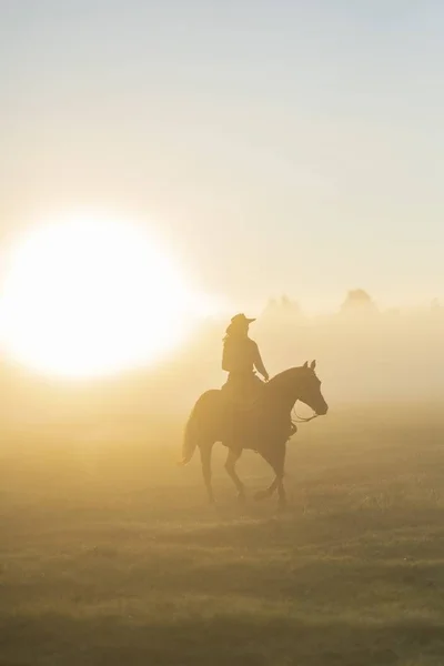 Pionowe ujęcie człowieka jadącego na koniu w promieniujące słońce — Zdjęcie stockowe