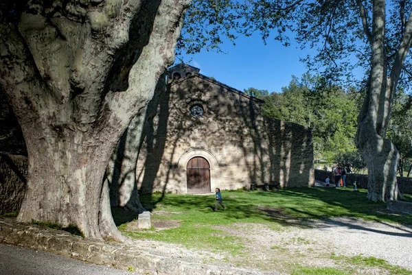 Vaugines Kilisesi ve Uçak Ağacı — Stok fotoğraf