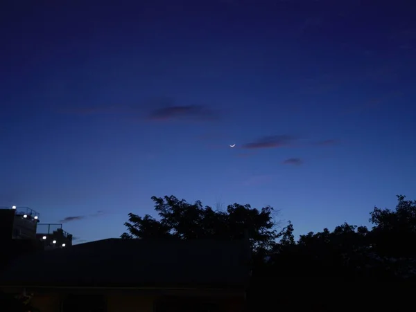 Vista de árvores silhuetas abaixo de um céu azul de madrugada - bom para ser usado como fundo — Fotografia de Stock