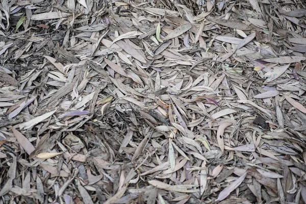 Ein Hintergrund Aus Vielen Trockenen Blättern Auf Dem Boden Ideal — Stockfoto
