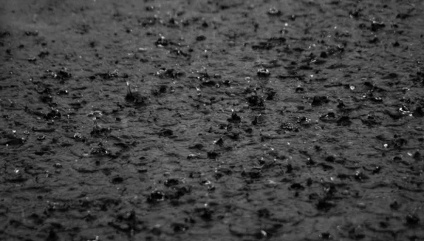 在水面上的灰度雨滴拍摄 — 图库照片
