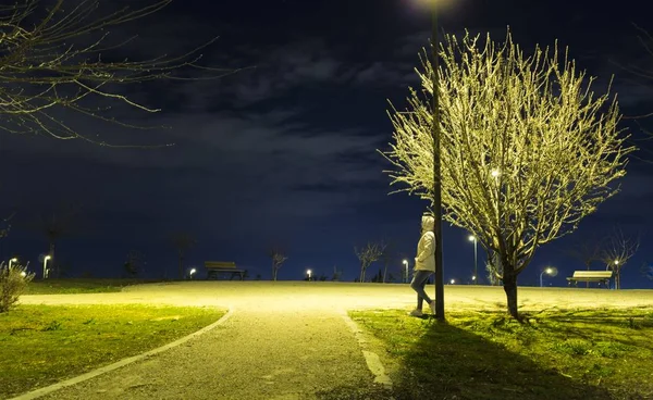 Persona de pie en el parque durante una hermosa noche tranquila —  Fotos de Stock