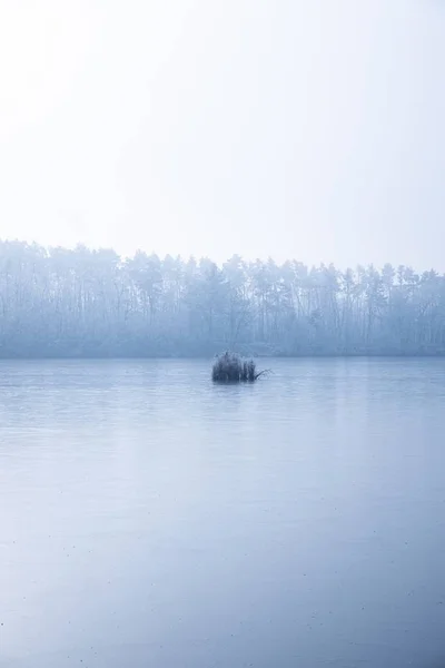 Plan vertical d'un lac près de la forêt recouvert de brouillard dense — Photo