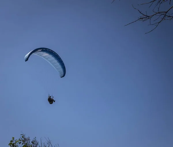 Mooloolaba Australia Jan 2020 Low Angle View Paragliders Competing Mooloolaba — Stock Photo, Image