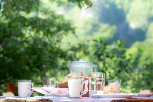 Enfoque selectivo de la hora del desayuno en el Valle de Valbona en Albania rodeado de vegetación — Foto de Stock