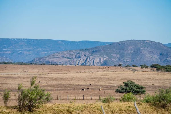 Uitzicht op een veld omgeven door een bergachtig landschap onder de heldere hemel — Stockfoto