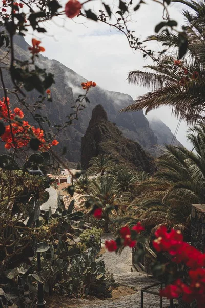 Tiro vertical de uma floresta cheia de diferentes tipos de plantas cercadas por um cenário montanhoso — Fotografia de Stock