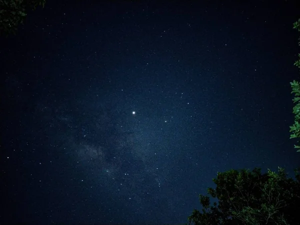 Низкоугольный Снимок Темного Неба Полного Звезд Деревьями Углу — стоковое фото