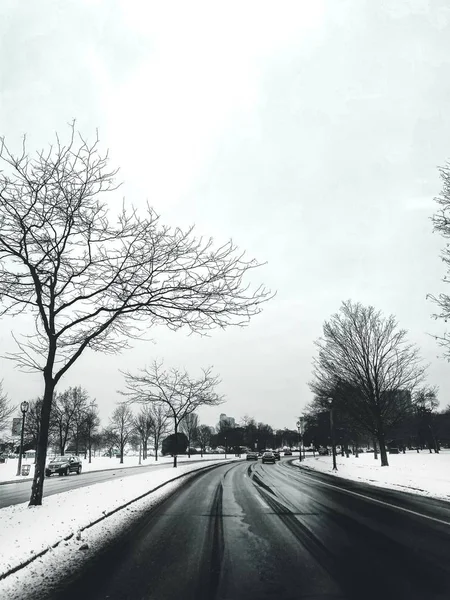 Straße umgeben von Bäumen und Autos im Schnee mit Gebäuden im Hintergrund — Stockfoto