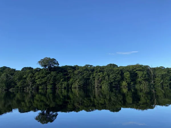 Eine Wunderschöne Landschaft Aus Einer Reihe Grüner Bäume Die Sich — Stockfoto