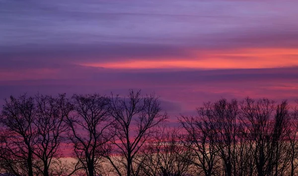 Paisaje de siluetas de árboles bajo un cielo nublado durante una hermosa puesta de sol rosa — Foto de Stock