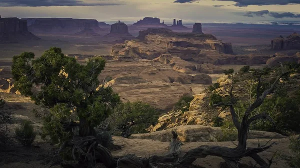 Scenery Rock Formations Different Kinds Plants Canyon — 스톡 사진