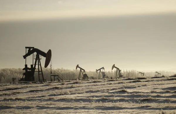 Field with oil pump jacks surrounded by greenery under a cloudy sky and sunlight — 스톡 사진