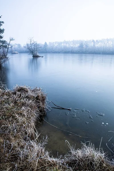 Tiro vertical de alto ângulo de grama seca e árvores nuas perto do lago coberto com nevoeiro no inverno — Fotografia de Stock
