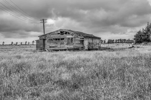 新西兰福克斯顿 2019年12月30日 在新西兰福克斯顿捕获的一座农场上的一个木制谷仓的灰度镜头 — 图库照片