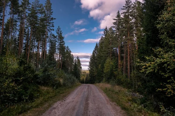 Eine Straße Die Tagsüber Von Einer Wunderschönen Grünen Landschaft Umgeben — Stockfoto