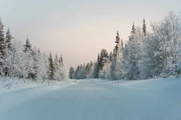 Чудесные зимние пейзажи, полные волшебства сезона в Финляндии — стоковое фото