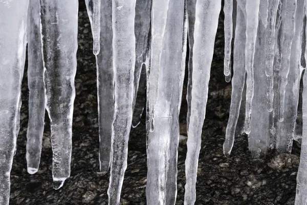 Closeup shot of beautiful icicles on the trees — 스톡 사진