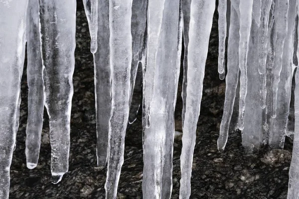 Nahaufnahme schöner Eiszapfen an den Bäumen — Stockfoto