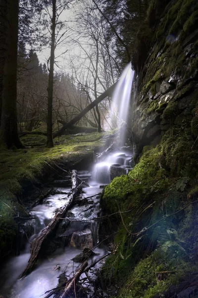 Uma Cachoeira Cercada Por Árvores Rochas Cobertas Musgos Galhos Uma — Fotografia de Stock