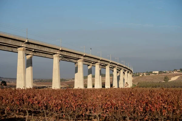 Paisaje Puente Hormigón Campo Cubierto Vegetación Con Casas Fondo —  Fotos de Stock