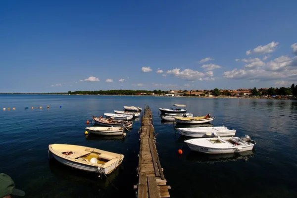 Rovinj καλοκαίρι στην Κροατία θάλασσα ακτή — Φωτογραφία Αρχείου